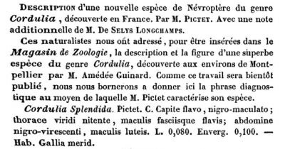 Fichier:Selys1843splendida.jpg