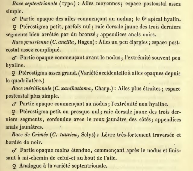 Fichier:Calsplselys1853.jpg