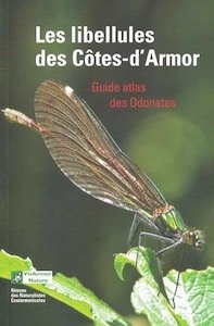 Fichier:Armor.jpg
