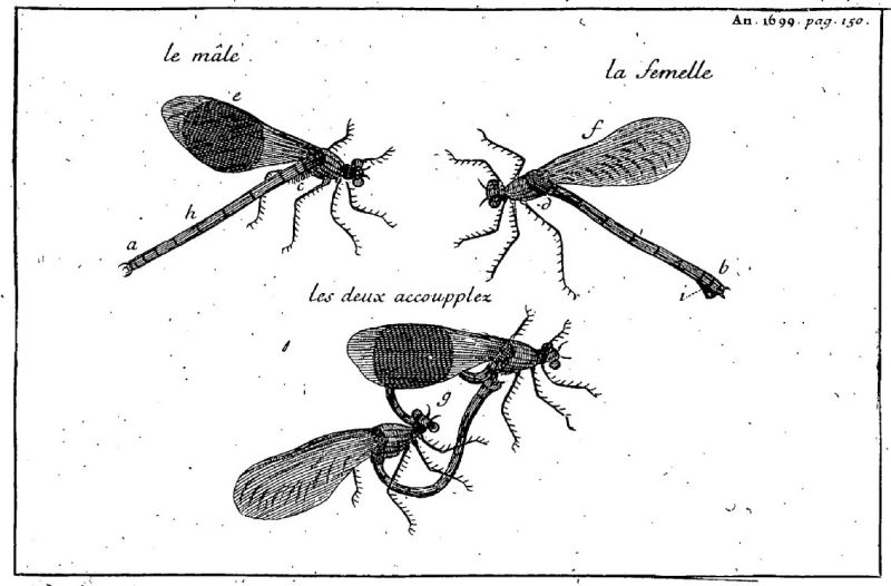 Fichier:Homberg1699.jpg