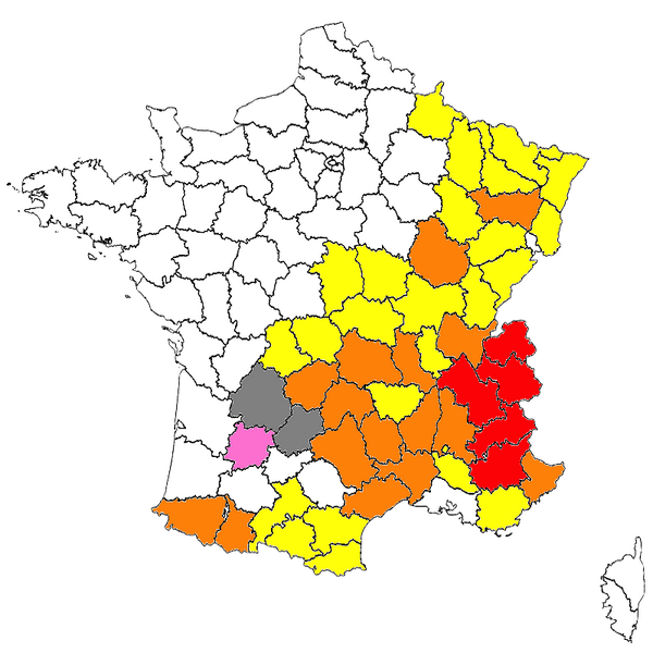 Fichier:Thebidfr.png