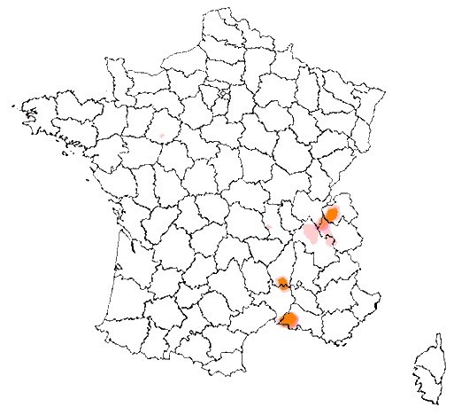 Fichier:Symdepfr1.jpg