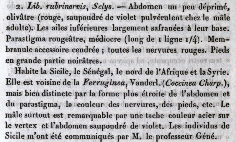Fichier:Librubselys.png