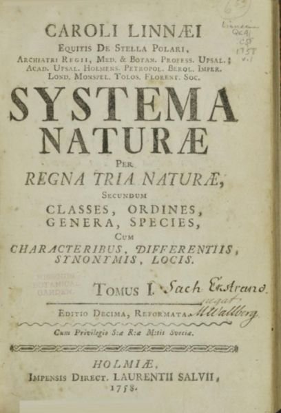 Fichier:Linnaeus.jpg