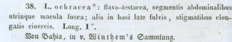 Fichier:Liboch.png