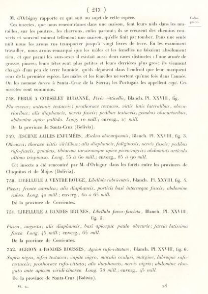 Fichier:Blanchard1843texte.jpg