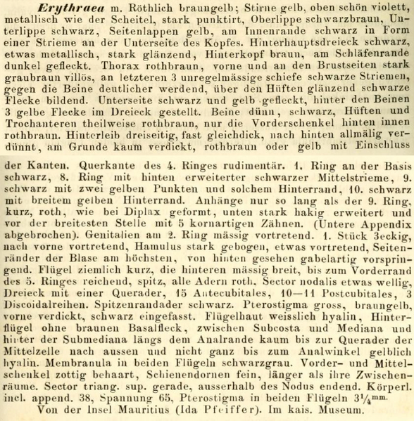 Fichier:Traerybrauer.png